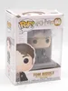 Harry Potter - Tom Riddle 60 - Funko Pop! - Vinyl Figur Produktbild-Vorschau 6