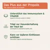 AniForte Propolis Pulver für Katzen & Hunde 20 g - Produktbild-Vorschau 3