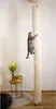 Kerbl Sac à grimper pour chats 240 cm Beige Voir les images du produit 4