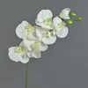 artplants.de Künstliche Blume Phalaenopsis Orchideen Zweig Produktbild-Vorschau 1