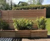 A wooden raised garden bed with bamboo plants in front of a wooden fence. Produktbild-Vorschau