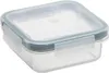 A clear, well-lit studio shot of a square plastic food storage container with a transparent lid and a green seal. Voir les images du produit