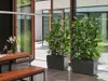 LECHUZA plantpot CARARO Premium, antraciet metallic | Productafbeelding-voorbeeld 17