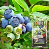 Bodensubstrat für Heidelbeeren und Beeren 15l ergiebig Produktbild-Vorschau 4