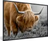 MuchoWow® MuchoWow® Gerahmtes Poster Schottisches Produktbild-Vorschau 1