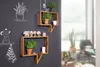 Two wooden shelves with plants and jars are mounted on a dark gray wall. Chalk drawings of a plant, a coffee maker, and a towel are on the wall. A window with a view of plants and a chair is on the right. Produktbild-Vorschau