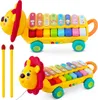 Vzdelávacia hračka cimbal, xylofón Lion RK-740 Ricokids Náhľad obrázku produktu 1