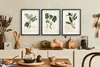 Poster per la cucina erbario piante decorazione murale Anteprima dell’immagine prodotto 5