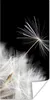 MuchoWow® Poster Blume - Löwenzahn - Pflanze 20x40 cm - Produktbild-Vorschau 1