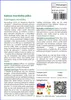 SAFLAX - kaktus morského ježka - Echinopsis mirabilis - 40 Náhľad obrázku produktu 3