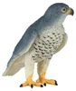 Mojo Fun Peregrine Falcon, 3 lat(a), Wildlife, Niebieski, Podgląd zdjęcia produktu 3