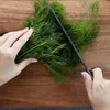 Dill Dillsamen Früh Zum Beizen 5G Produktbild-Vorschau 10