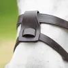 Blenheim - Leder Schenkeltrensen-Fixierung 2er-Pack ER765 Produktbild-Vorschau 2