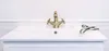 A close-up shot of a vintage-style brass faucet on a white sink. Anteprima dell’immagine prodotto