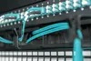 Digitus Organizator kablowy ze szczotką 19" 1U, 4x uchwyty Podgląd zdjęcia produktu 2