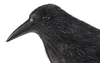 ISO-Tauben- und Vogelabwehrgerät „Rabe“ Produktbild-Vorschau 16