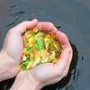 2 x 10 Liter (2,48 kg) Lyra Pond® Pond Multi Flakes Produktbild-Vorschau 7