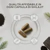 Capsule di Shilajit Aavalabs | 50% di acido fulvico | Anteprima dell’immagine prodotto 11