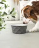 lionto Keramik Futternapf, hochwertiger Napf für Hunde & Produktbild-Vorschau 2