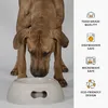 United Pets Pappy - Futterautomat für große Hunde, Produktbild-Vorschau 5