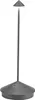 Lampe de table LED Pina Pro Gris Foncé rechargeable et Voir les images du produit 1