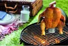 Kuřecí stojan s nádobou na marinádu z nerezové oceli Náhled obrázku produktu 18