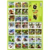 Das Pexeso Memory Pairs-Spiel Der Maulwurf Produktbild-Vorschau 3