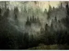 Vlies Fototapete - Misty Beauty of the Forest 150x105 cm Produktbild-Vorschau 5