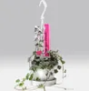 BALDUR Garten 1x Leuchterblume Ceropegia, Pflanze im 11 Produktbild-Vorschau 2