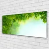 Acrylglasbilder 125x50 Wandbild Druck Blätter Natur Produktbild-Vorschau 2