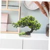 Akvarijní dekorace bonsai aquarium, dekorace do akvária, Náhled obrázku produktu 3