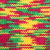 100g Strickgarn Häkelgarn TERA MULTI, Farbwahl - mehrfarbig bunt Farbverlauf Produktbild-Vorschau