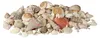 Relaxdays Decoratieset met schelpen, XL-mix met grote Productafbeelding-voorbeeld 1