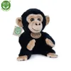 Peluche Scimpanzé 18 Cm Ecologico Anteprima dell’immagine prodotto 12