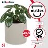 A plant in a pot with marketing overlays. Anteprima dell’immagine prodotto