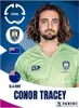 Panini Fifa Club World Cup 2025 Cartes à collectionner Vert Voir les images du produit 5
