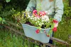 KHW Flowerclip XL, 2er Set mintgrün Produktbild-Vorschau 7