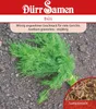 Artikelbild 1 von 'Dill' aus der Kategorie Dillsamen Produktbild-Vorschau