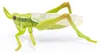 Papo SAS, figuur van 4 cm, sprinkhaan, vanaf 3 jaar Productafbeelding-voorbeeld 2