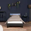 HOME DELUXE - LED Bett ASTRO - Schwarz, 90 x 200 cm - inkl. Produktbild-Vorschau 2