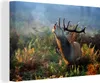 MuchoWow® - Leinwandbilder - Hirsche - Wald - Nebel, Produktbild-Vorschau 1