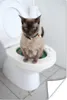 MuchoWow® Poster Eine birmanische Katze sitzt auf der Produktbild-Vorschau 1