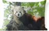 MuchoWow® Outdoor Kissen - Roter Panda - Baum - Grün - Produktbild-Vorschau 1