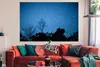 MuchoWow® Poster Sternenhimmel - Wald - Blau 180x120 cm - Produktbild-Vorschau 2