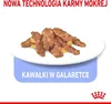 ROYAL CANIN Indoor Sterilised W Galaretce 12x85g Podgląd zdjęcia produktu 4