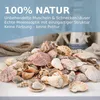 Muschelmix Lagre 1 kg Deko Muscheln und Schnecken zum Produktbild-Vorschau 2