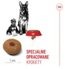 Pienso Royal Canin Maxi Starter Mutter & Babydo Aves 4 Kg Produktbild-Vorschau 6