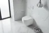 SAT Wand Wänge WC Toilette WC-Becken WC-Set  spülrandlos Produktbild-Vorschau 8
