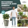 XL Pflanzkübel / Pflanztopf „LIKE“ Ø58xH51 cm - Braun - Produktbild-Vorschau 5