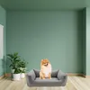 A small dog sits in a dog bed in a room with green walls and wooden floors. There are plants in the background. Podgląd zdjęcia produktu